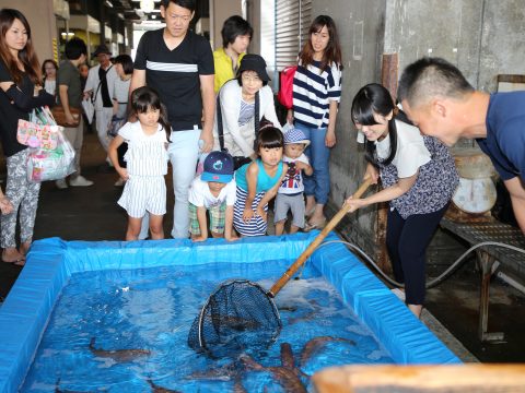 市場開放情報