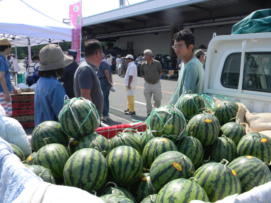 卸売市場開放情報