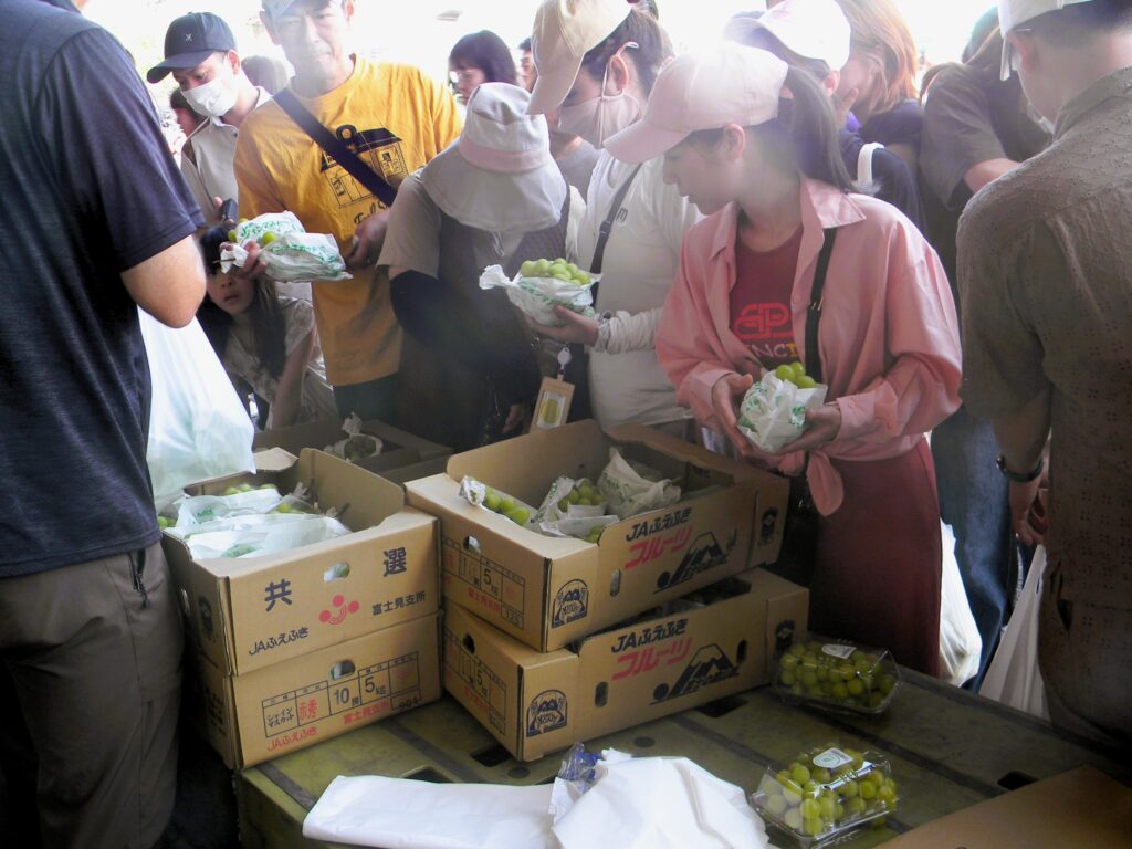 卸売市場開放情報