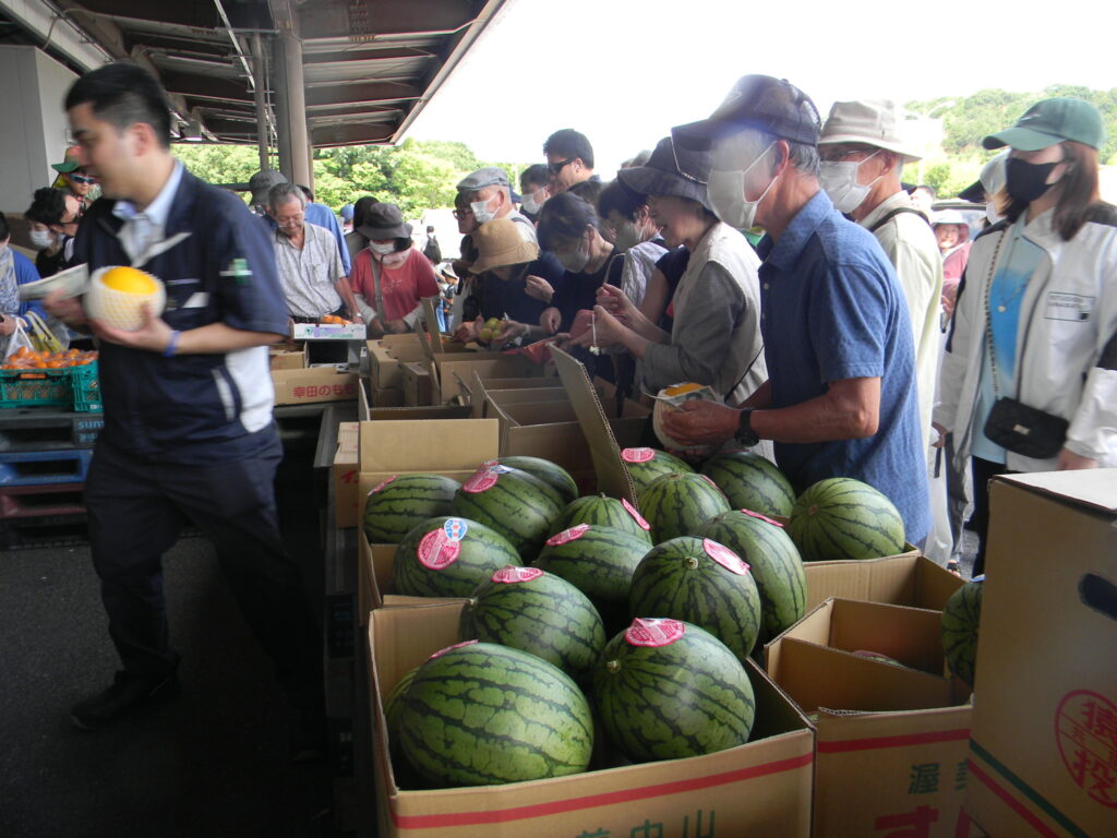卸売市場開放情報